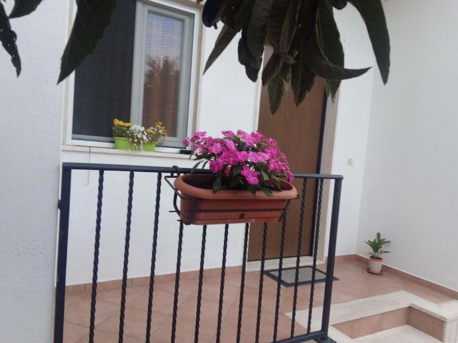 Casa Di Cristina Appartement Fiumicino Buitenkant foto
