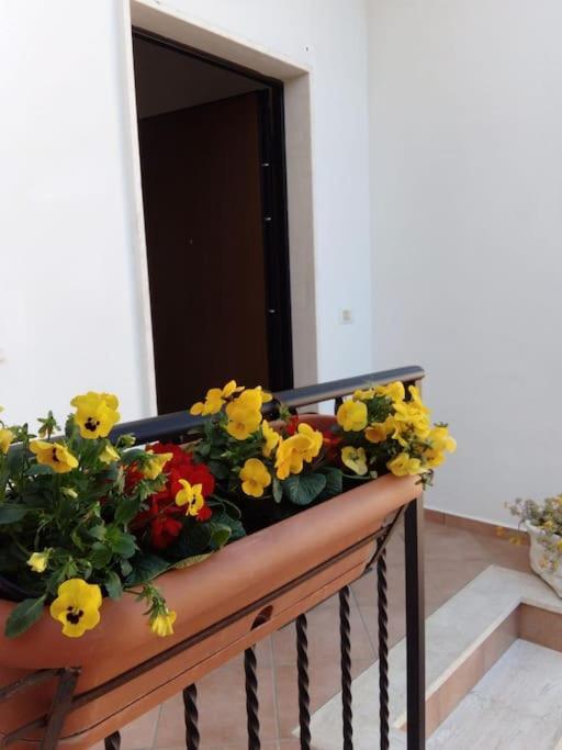 Casa Di Cristina Appartement Fiumicino Buitenkant foto
