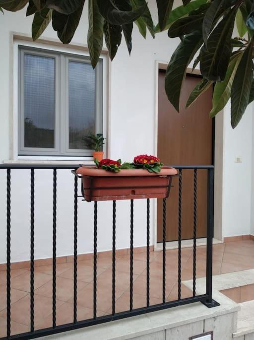 Casa Di Cristina Appartement Fiumicino Buitenkant foto